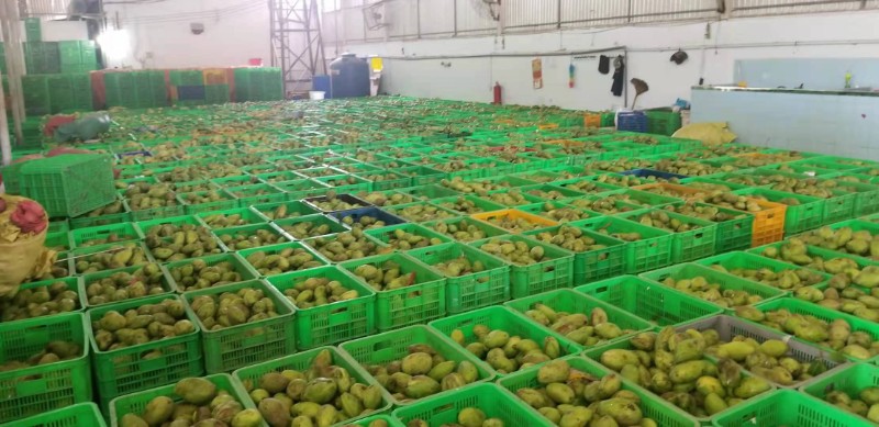 益陽瑪山產(chǎn)業(yè)機(jī)械有限公司，湖南益陽螺旋風(fēng)管廠家，熱風(fēng)食品烤房